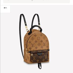 Louis Vuitton Palm Spring Mini reverse